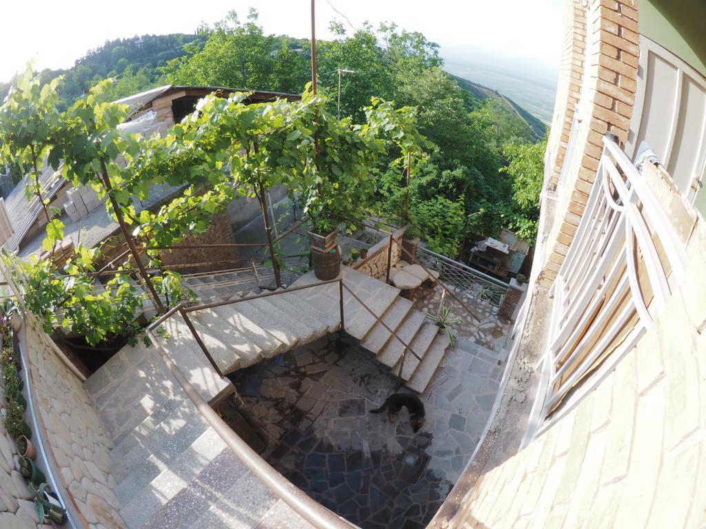 Zandarashvili Guest House 시그나기 외부 사진