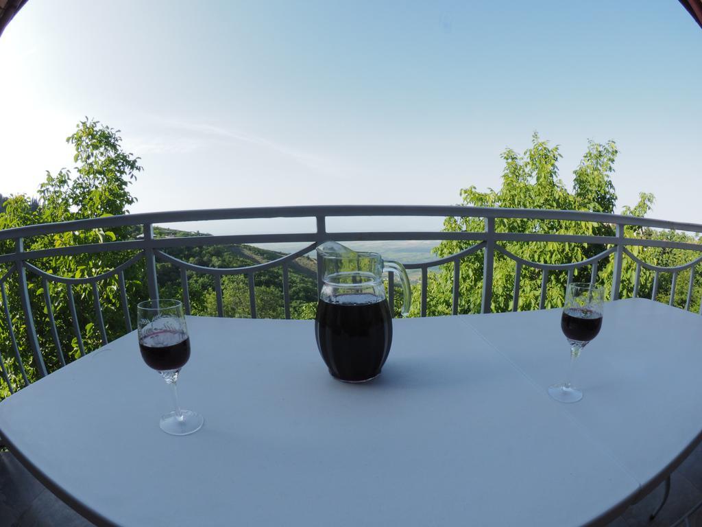 Zandarashvili Guest House 시그나기 외부 사진