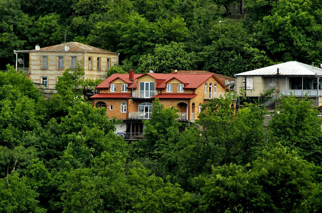 Zandarashvili Guest House 시그나기 외부 사진