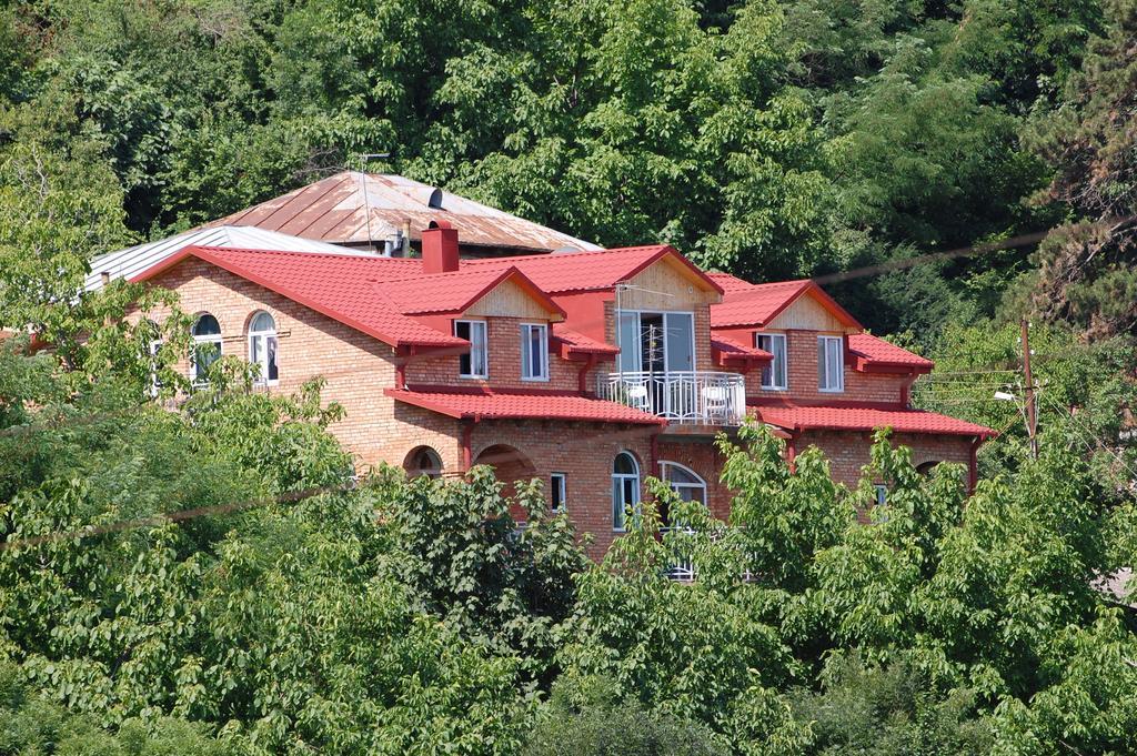 Zandarashvili Guest House 시그나기 외부 사진